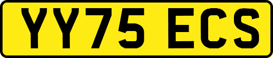 YY75ECS