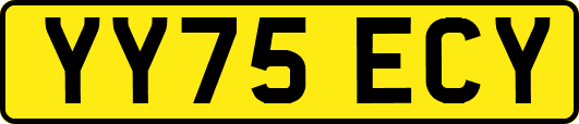 YY75ECY