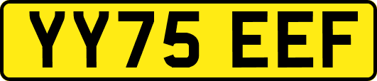 YY75EEF