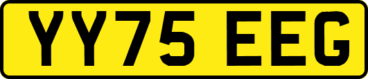 YY75EEG