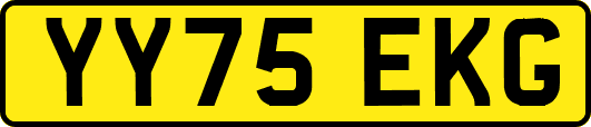 YY75EKG