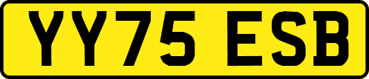 YY75ESB