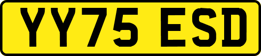 YY75ESD