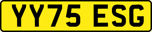YY75ESG