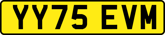 YY75EVM