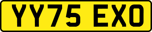 YY75EXO