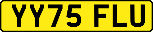 YY75FLU