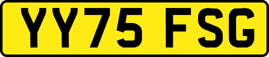 YY75FSG