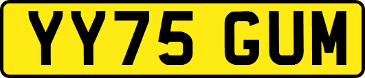 YY75GUM