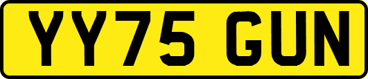 YY75GUN