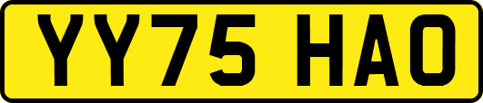 YY75HAO