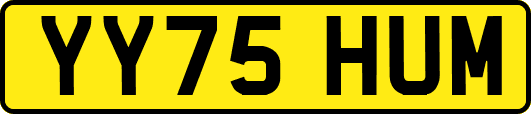 YY75HUM