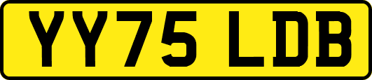 YY75LDB