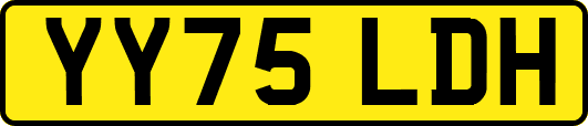 YY75LDH