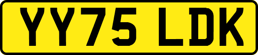 YY75LDK