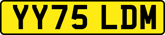 YY75LDM