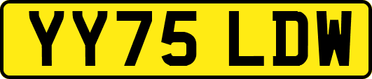 YY75LDW