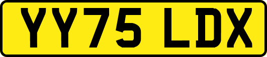 YY75LDX