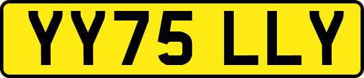 YY75LLY