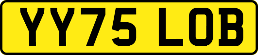YY75LOB