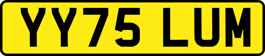 YY75LUM