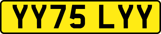 YY75LYY