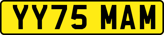 YY75MAM