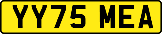 YY75MEA