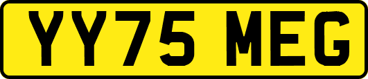 YY75MEG