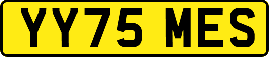 YY75MES