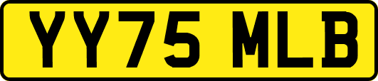 YY75MLB