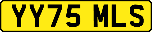 YY75MLS