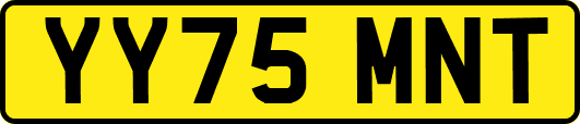 YY75MNT