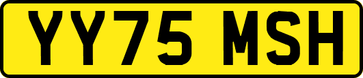 YY75MSH