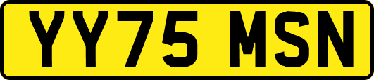 YY75MSN