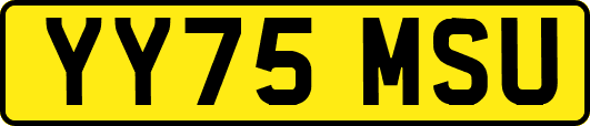 YY75MSU