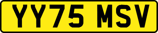 YY75MSV