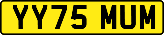 YY75MUM