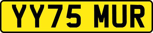 YY75MUR