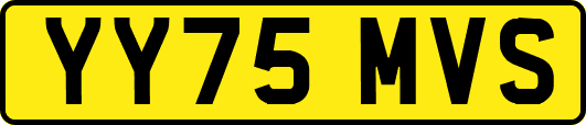 YY75MVS