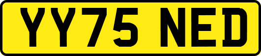 YY75NED