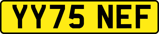 YY75NEF
