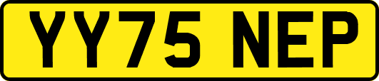 YY75NEP