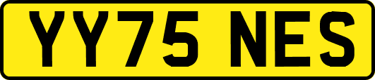 YY75NES