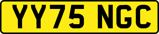 YY75NGC