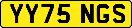 YY75NGS