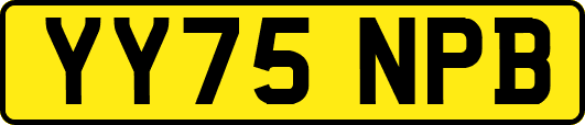 YY75NPB