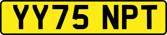 YY75NPT