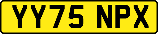 YY75NPX