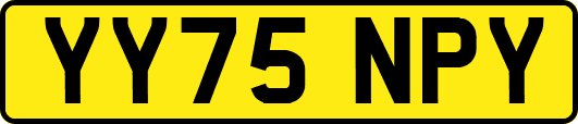 YY75NPY